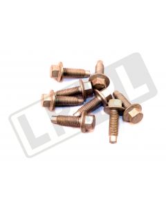 Śruba M6 x 16 mm Discovery 4 / Freelander 2 / RR 10 - 12 / RR Sport 10 - 13 / RR Evoque od 2012 / RR L405 - RYG500190GEN