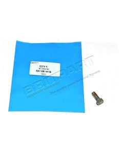 Śruba M6 x 16 mm Defender / Discovery 2 / RR P38  - SH106161SG