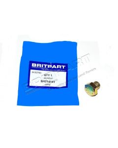 Wtyk / korek zaślepiający Defender / od 2007 / Discovery 1, 2 - SH214141G