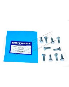 Śruba 1/4 UNF x 3/4 Jaguar XJ6 / XJ12 / XJS / SIII rozrząd / tylni zderzak / pompa paliwa / tempomat - SH604061LG