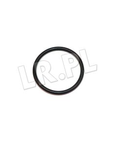 Podkładka uszczelniająca osi napinacza paska głównego RR P38 diesel - STC2256GEN