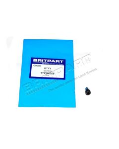 Śruba mała torx - TYP100300G