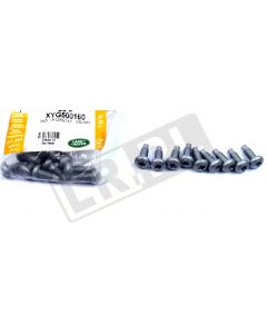 Śruba M6 x 12 mm Torx osłon podwozia , mocowania modułów Discovery 3 , 4 , Freelander 2 , Range Rover L405 , Evoque , Sport - XYG500160GEN